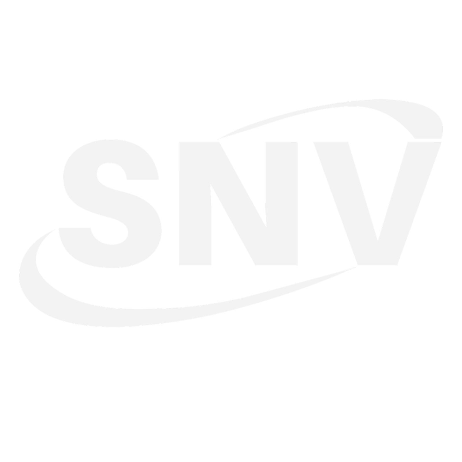SNV Logo